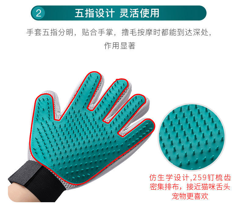 b00428c6-8f4a-4813-a588-3e2f113ed942.jpe