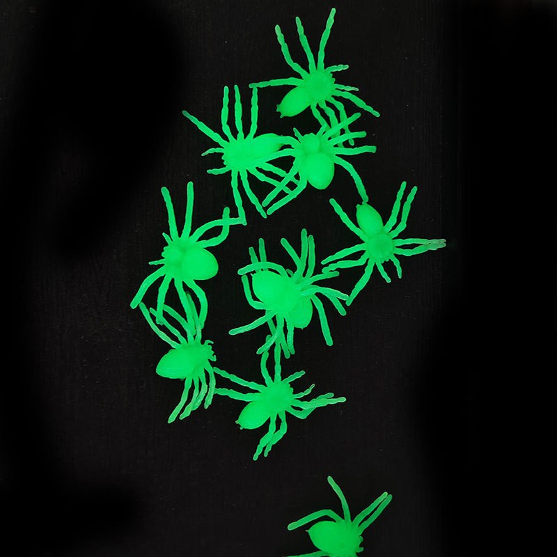 蜘蛛