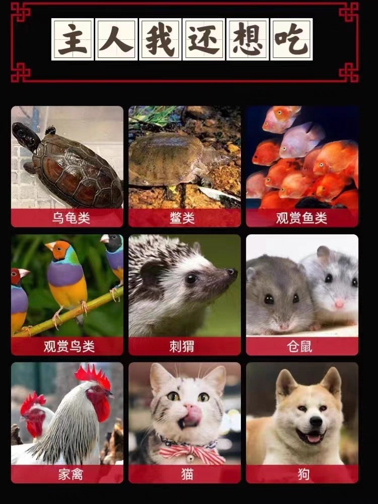 f8080f78-2fae-4b14-9db1-436f66035392.jpe