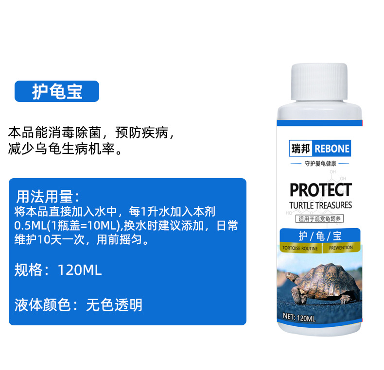 乌龟详情-恢复的_07.jpg
