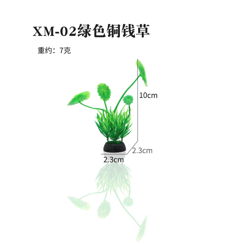 XM-02绿色铜钱草