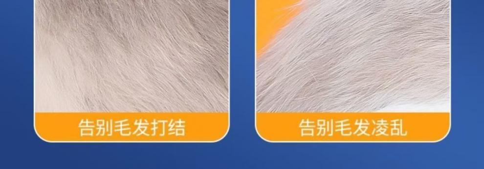 b4704475-7528-40ab-926a-6b614ffdea3f.jpe