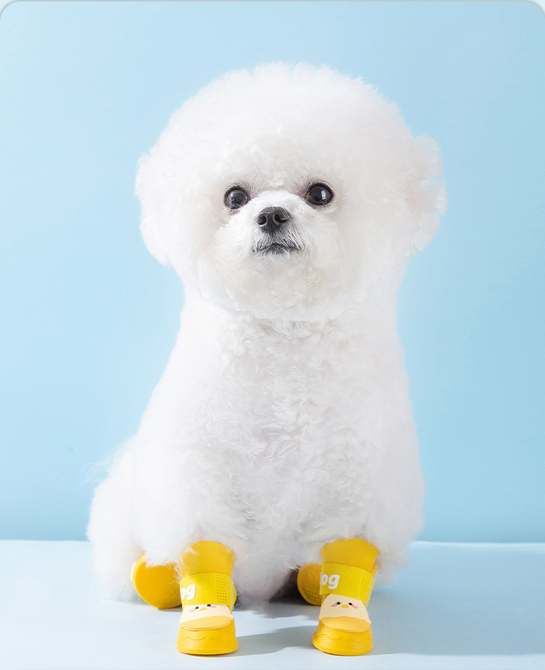 c104e1ce-2823-4892-849b-3d15194fcc37.jpe