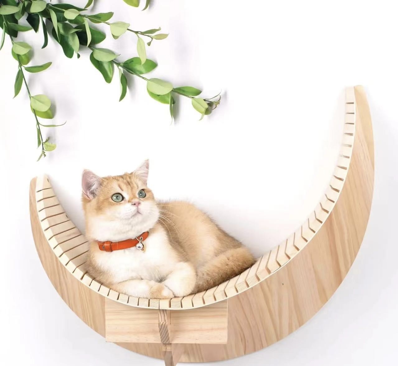 微信图片_202506181737251