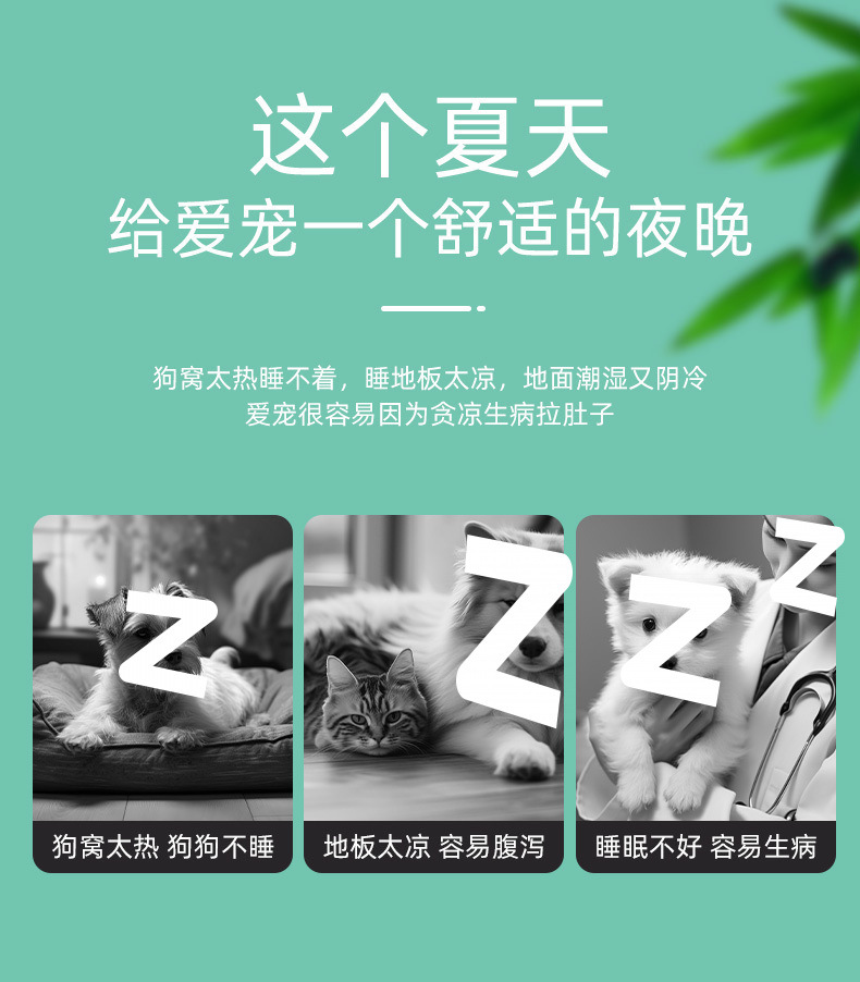 23e9b256-ceea-4716-9a82-ceee78d63fef.jpe