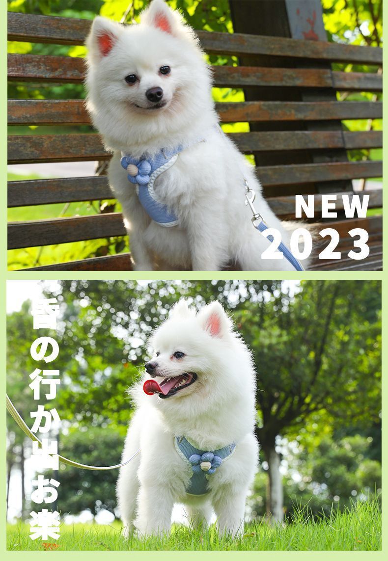 de098210-ab83-43ff-93df-74118fb2017d.jpe