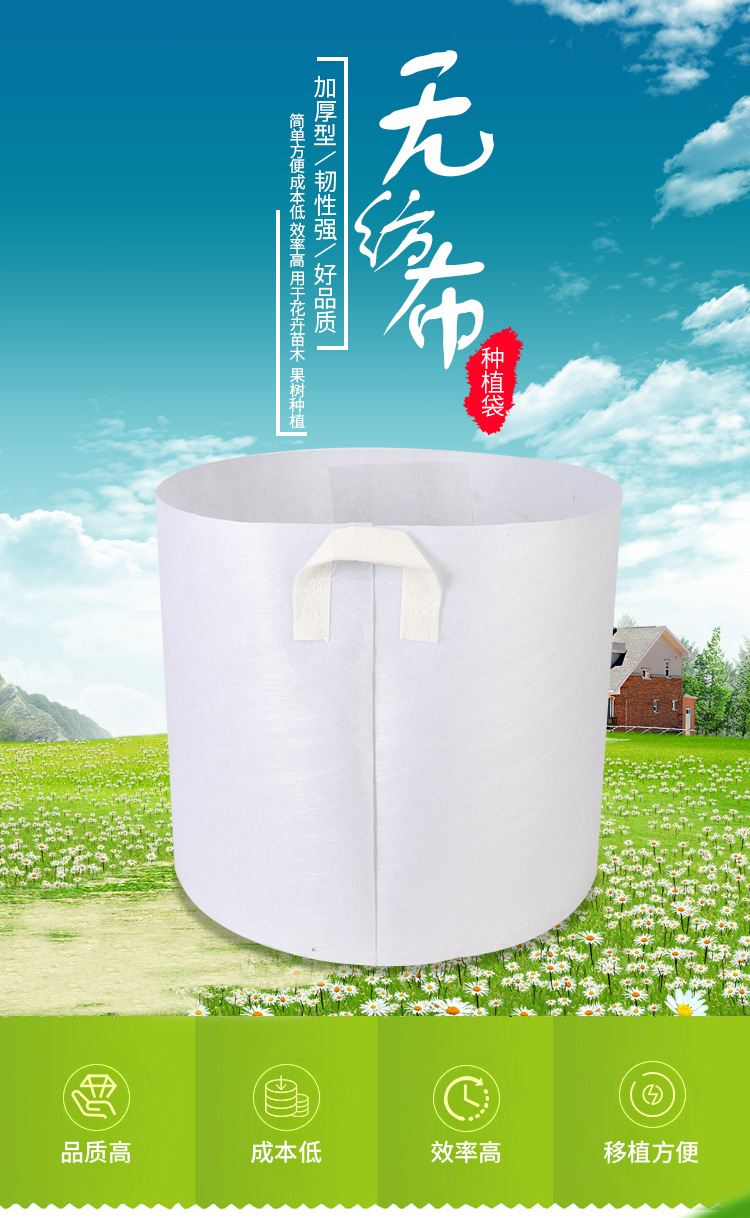 O1CN01cQZr5B1JBv5rINWk0_!!9194