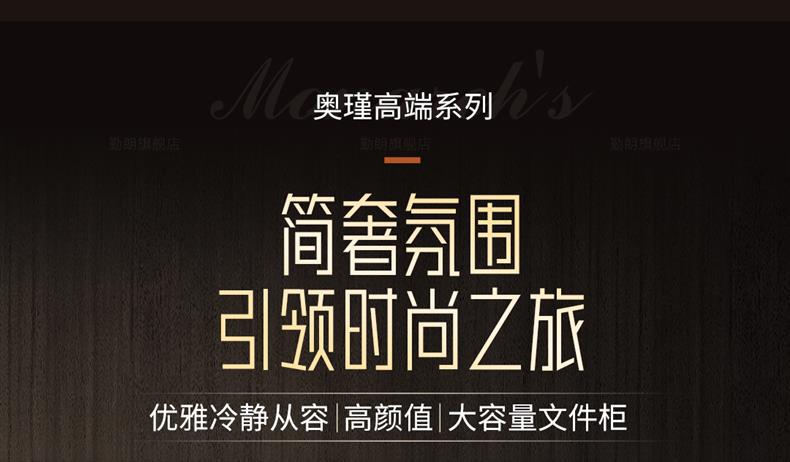 奥瑾文件柜（2.0米高）详情01_12.jpg
