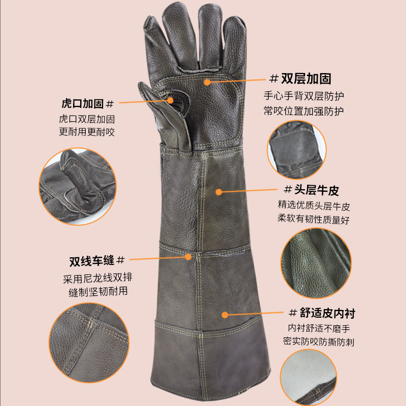 56c5d466-cbce-44c1-83f2-6ea923