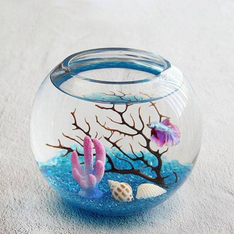 f8cee7b7-890e-400c-ac35-714efc67c517.jpe