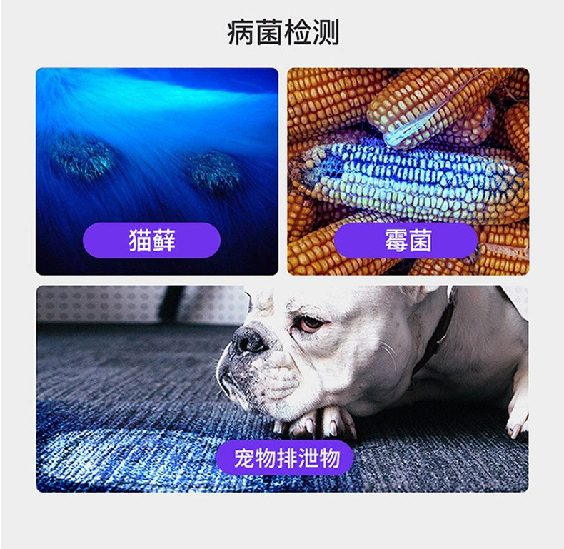 30d192c9-8810-4226-81a2-23ee0e6df1bc.jpe