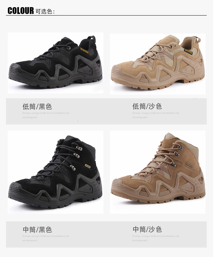 ec850c49-6091-4e89-ae1d-31d5d364aba7.jpe