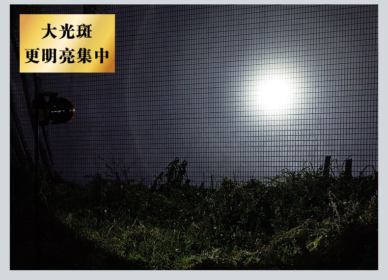 790详情_10.jpg