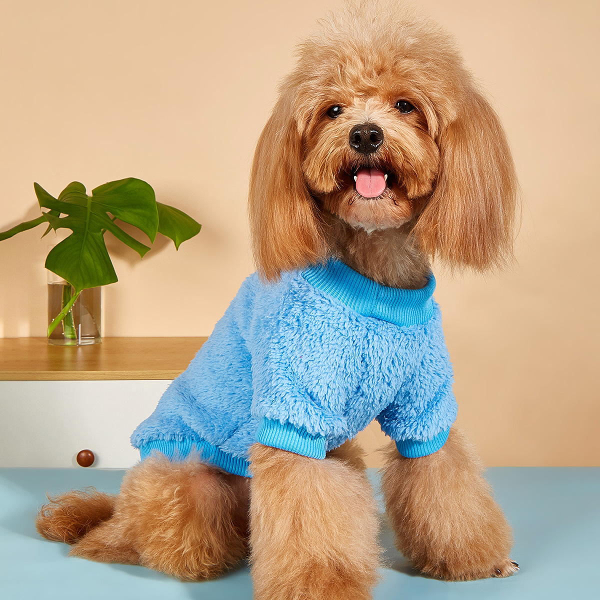 宠物衣服 狗狗衣服 义乌欧康