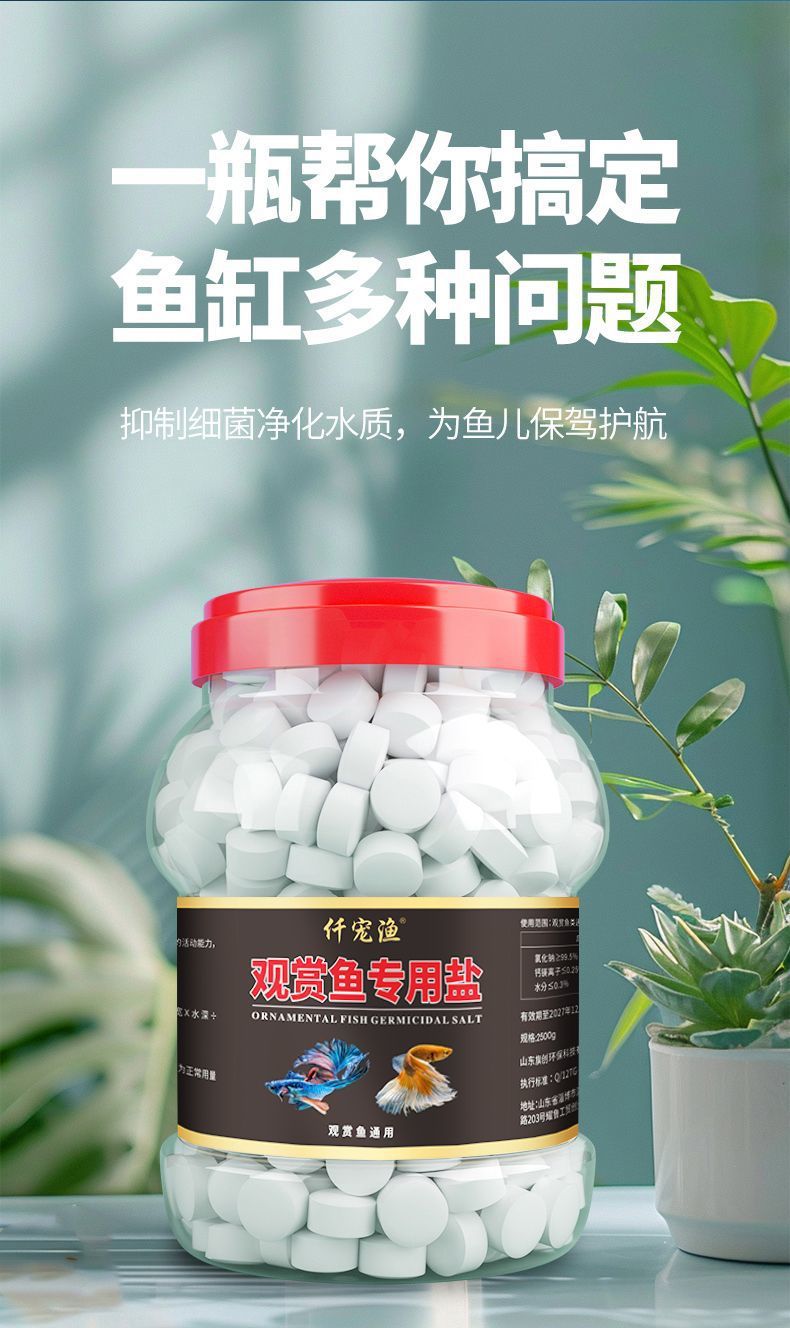 937decd8-a473-4585-b361-4a0e8771d980.jpe