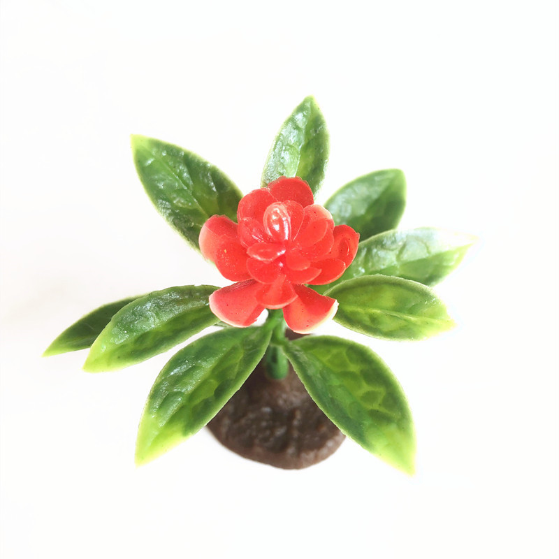 IMG_7467_副本 - 副本