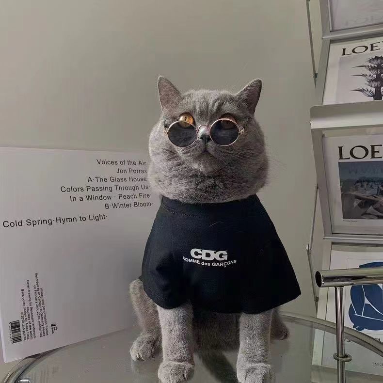 06993291-a8c4-436c-96aa-6a0a481d3c50.jpe