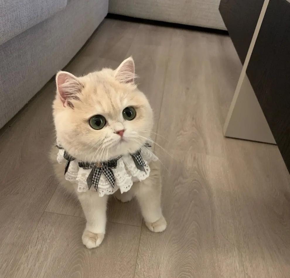 7886ec59-a060-4bab-a6c8-72a084891a8e.jpe