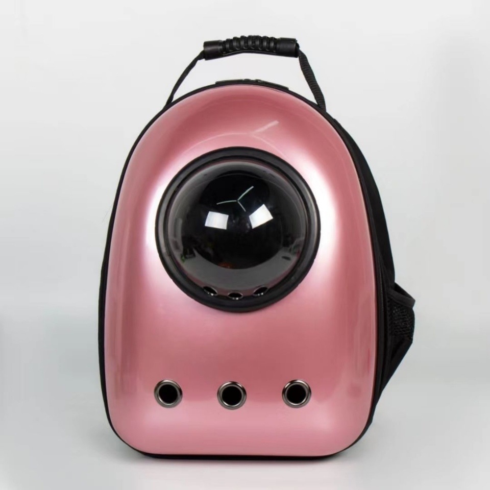 49357e9c-d9d7-433d-ade0-aa337fcb9c30.jpe