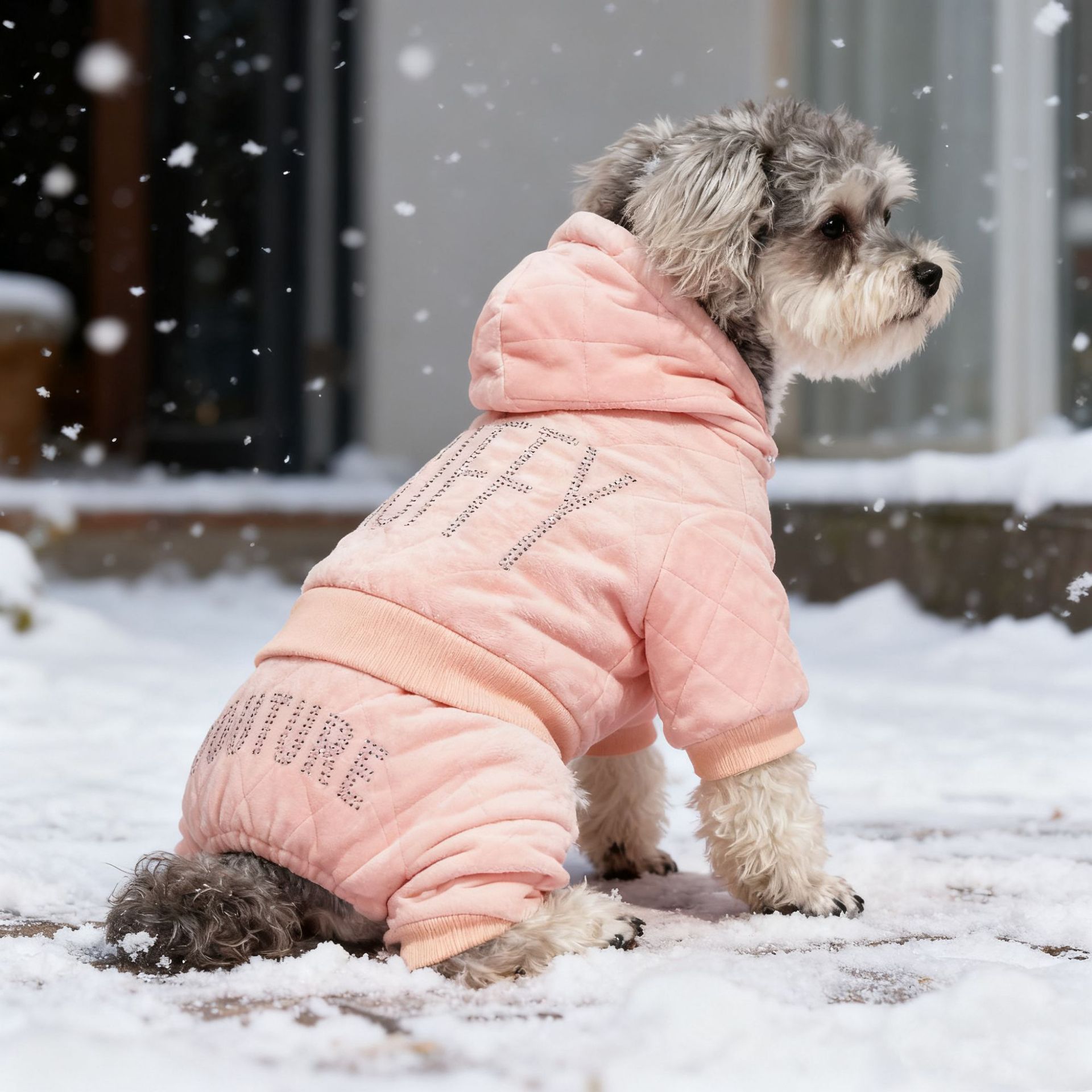 微信图片_20251025120603_147_297