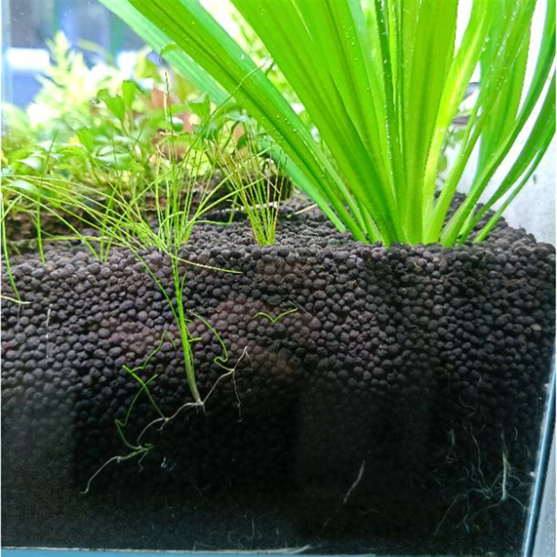 微信图片_20230603124537