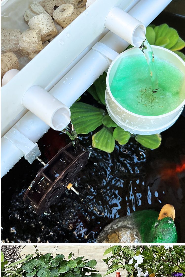 182cf459-88fc-413d-84e7-b0b1c8c4afb5.jpe