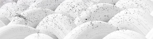 5e9b2385-ad15-406f-86f8-69d93cc44b07.jpe