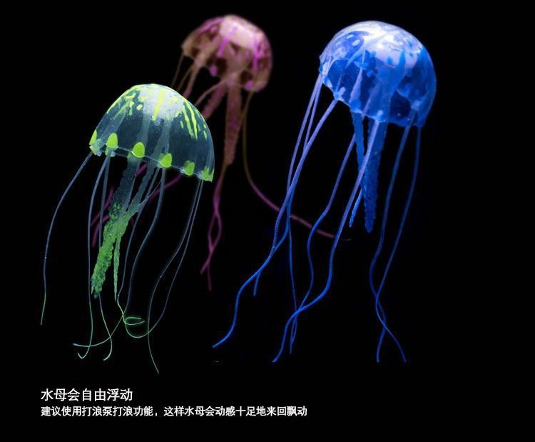 8e77518b-9c8c-4b47-8440-1f0a575e9952.jpe