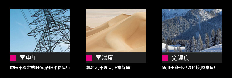 鑫福德卧式冰柜_14