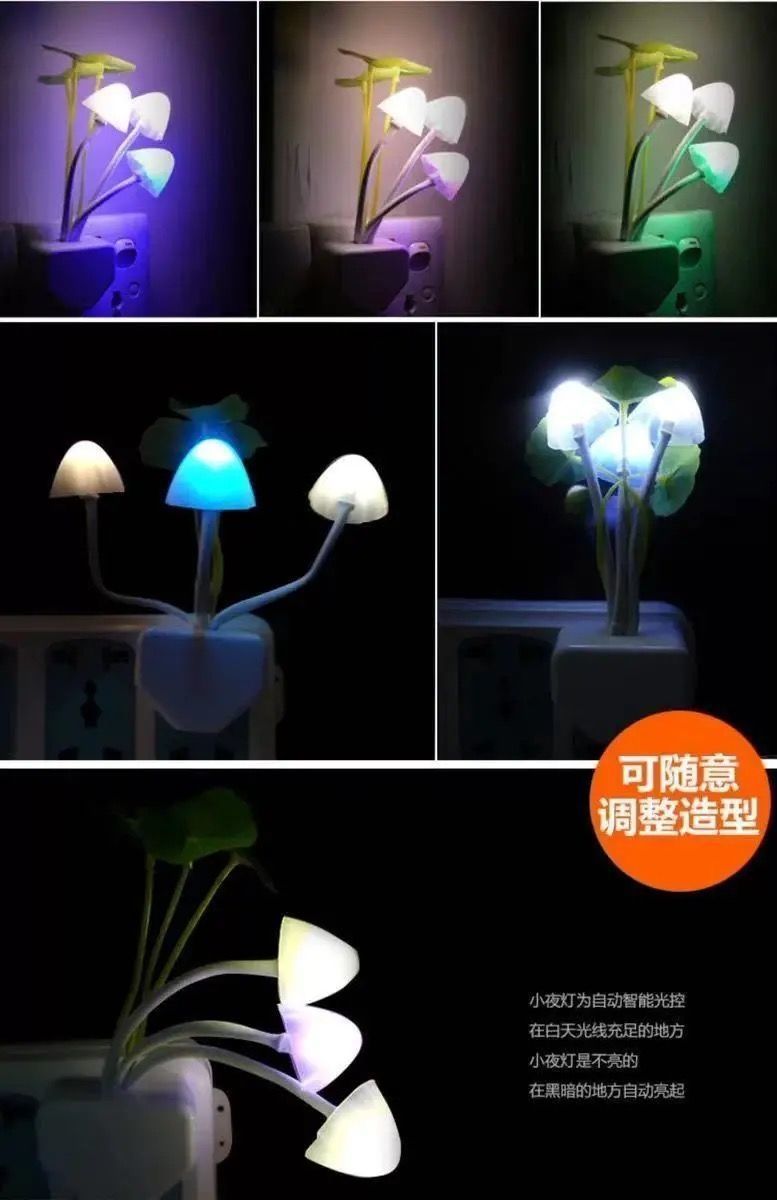 8f4d91ea-97d1-4742-b682-7208e39451be.jpe