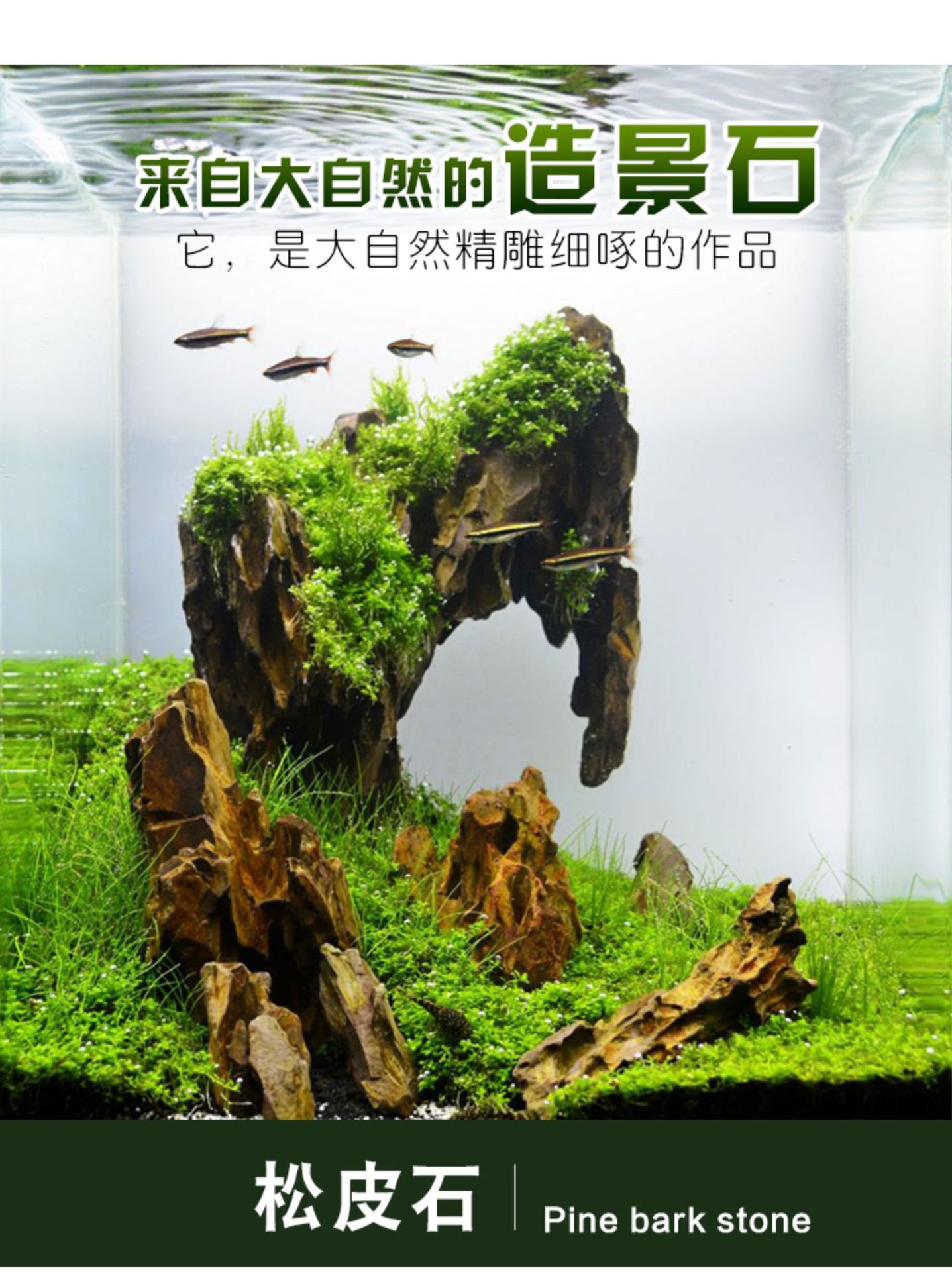 详情图01.jpg