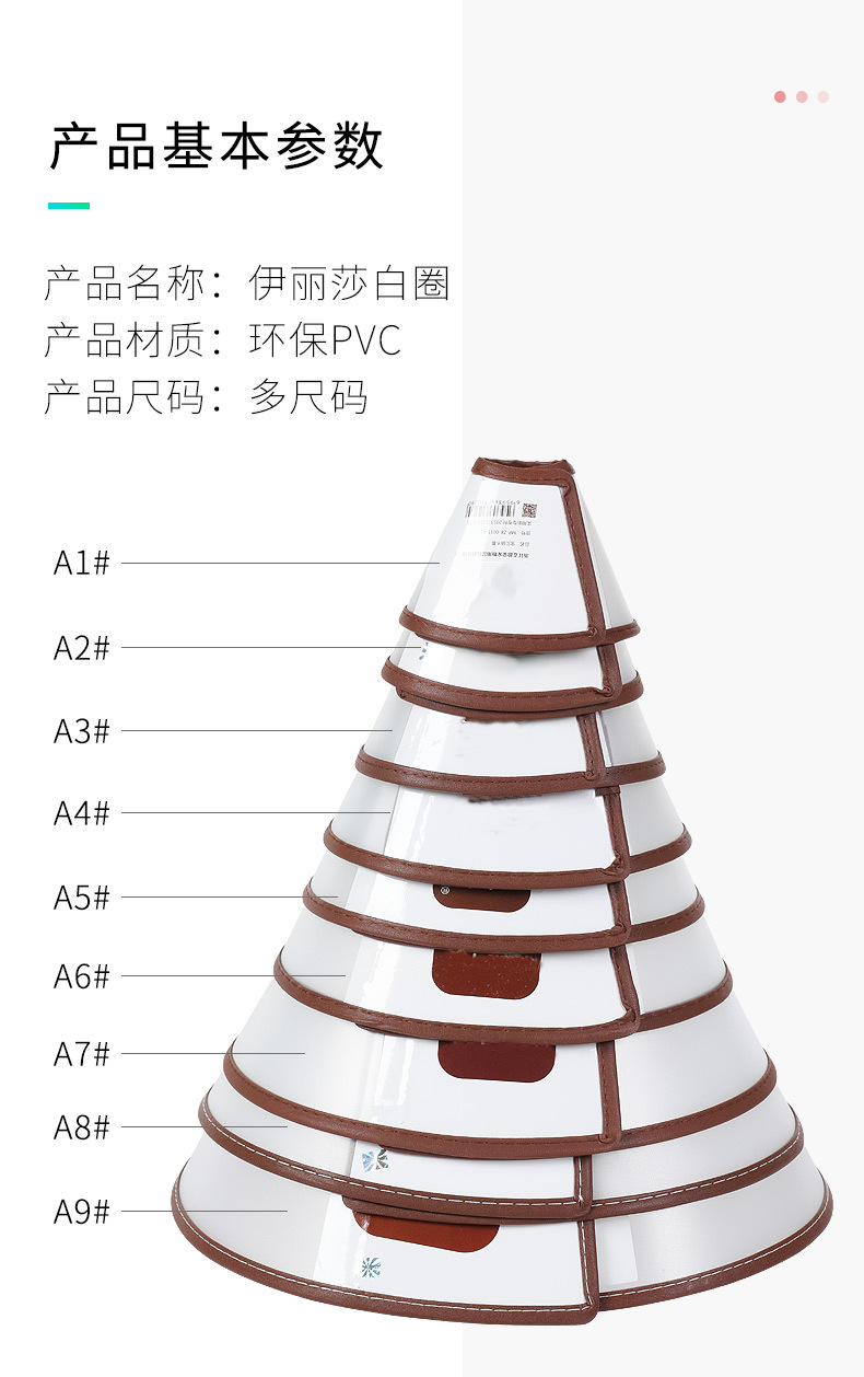 伊丽莎白圈 (9).jpg