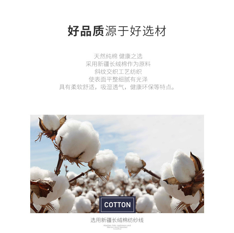 8508新详情_03.jpg?x-oss-process=image/format,png