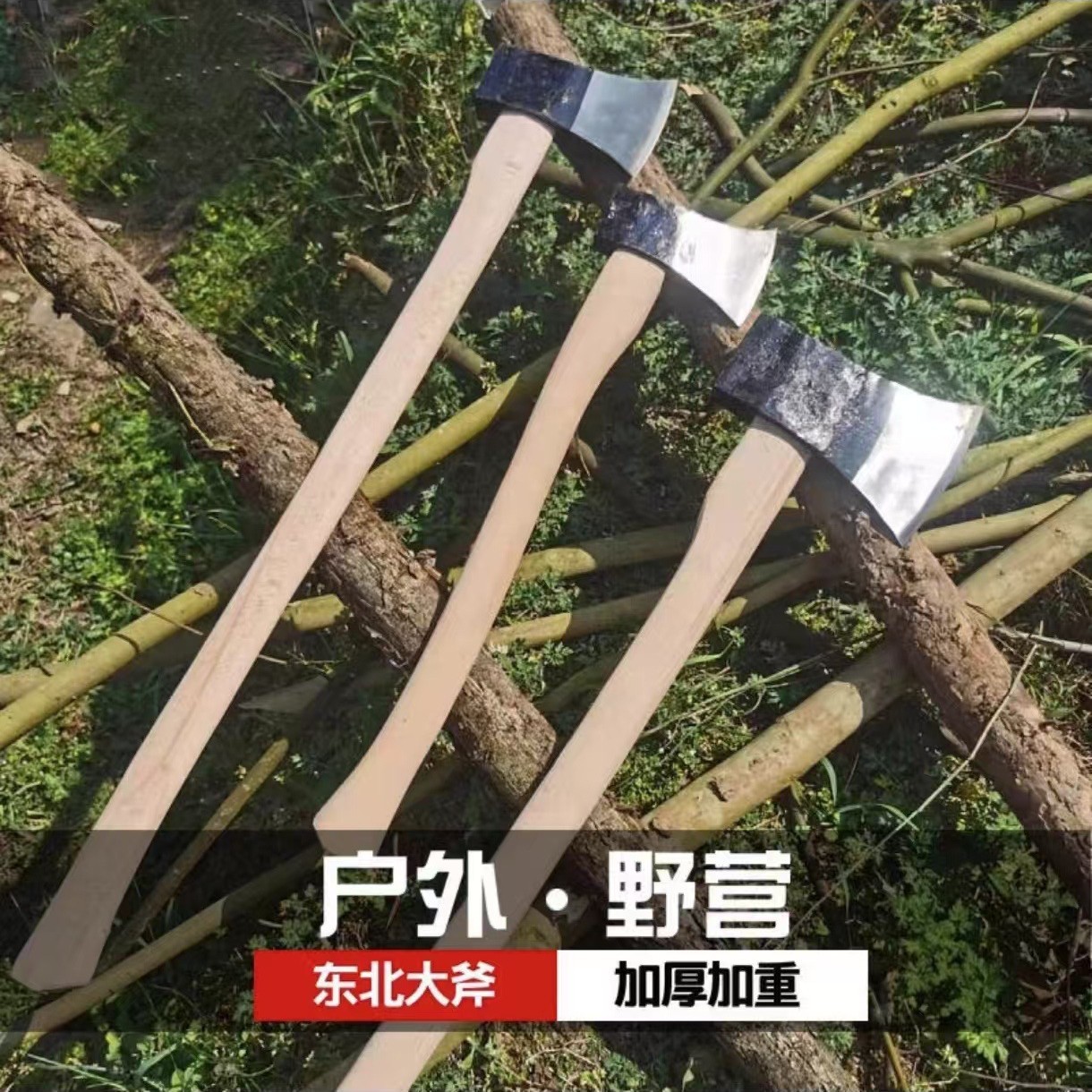 2024-12-25 09:51:33.jpg