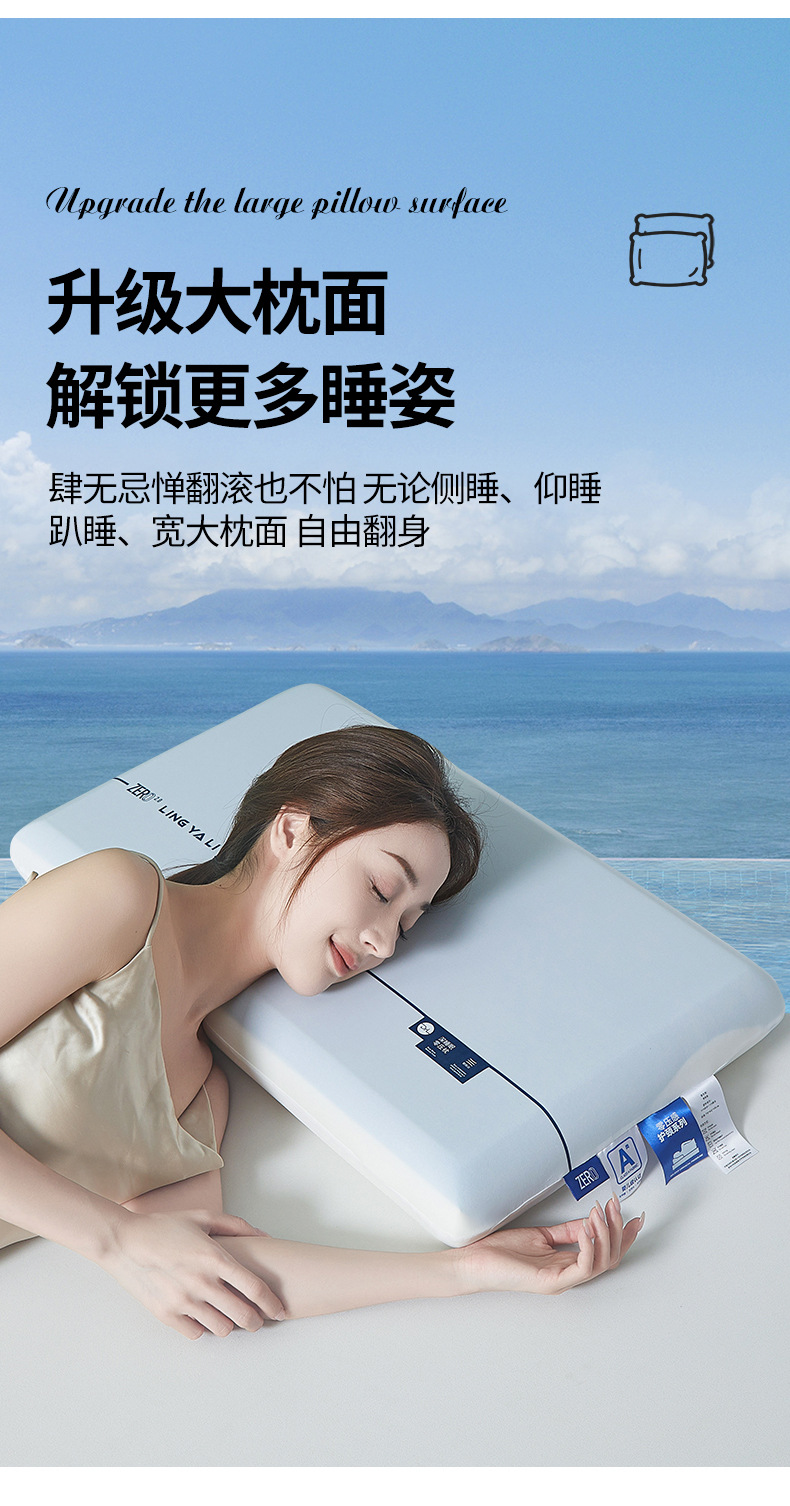 找家纺所有-790-A类双芯记忆棉枕_09.jpg