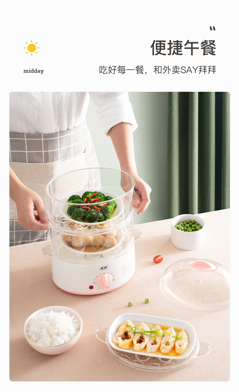 领锐电热蒸笼_09