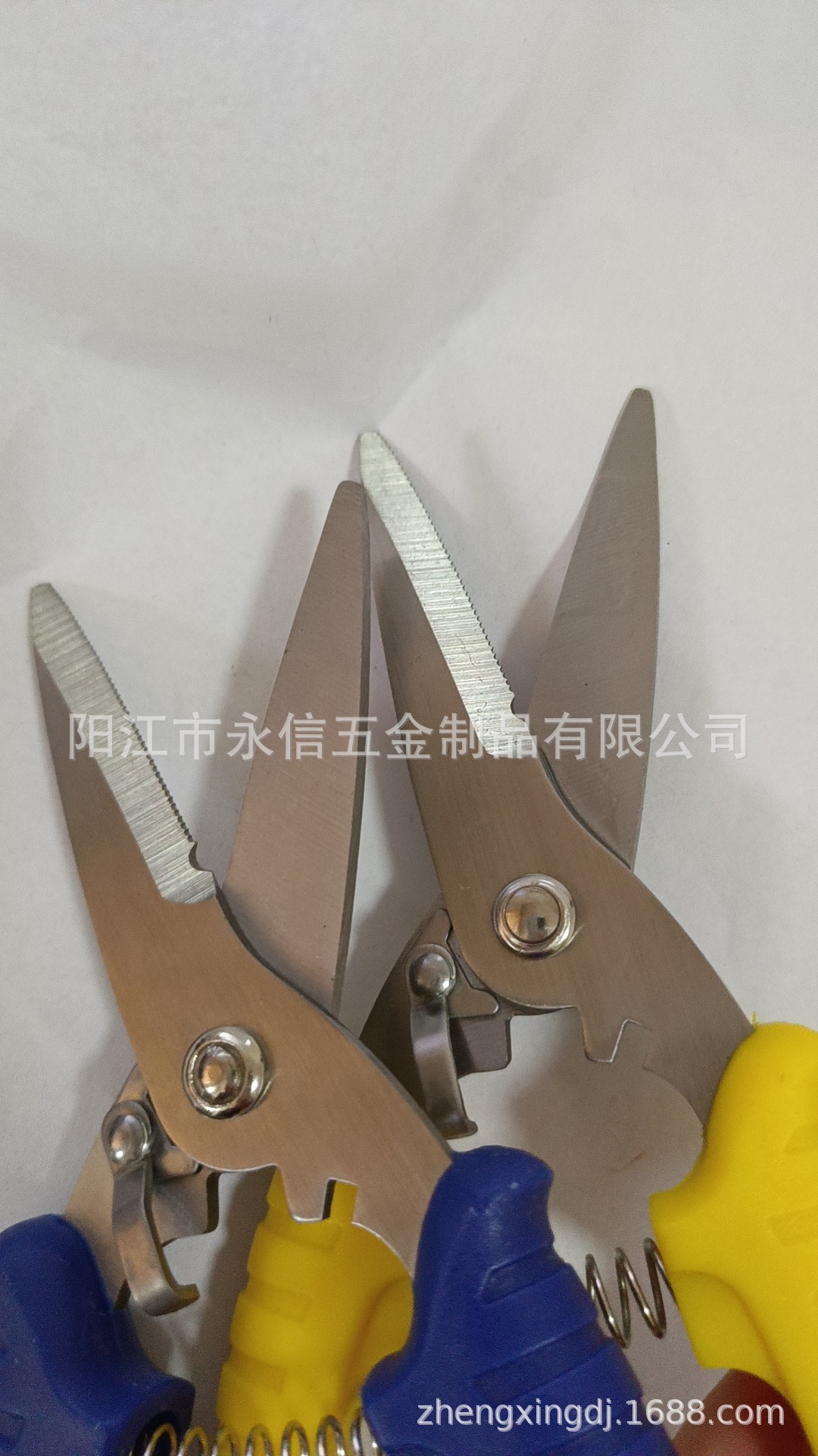 微信图片_20230413124722