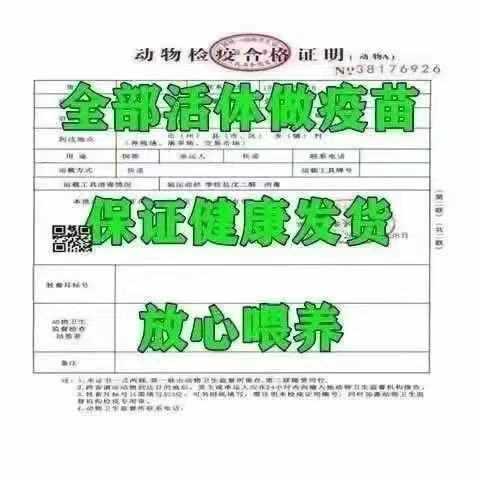 /O1CN01BrFLCM1yQwnwtBmLU_!!2220008436574-0-cib.jpg