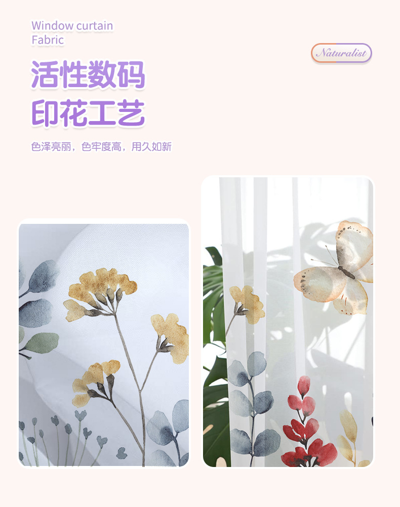 花卉系列详情_04