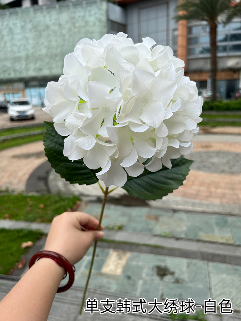 10.单支韩式大绣球-白色