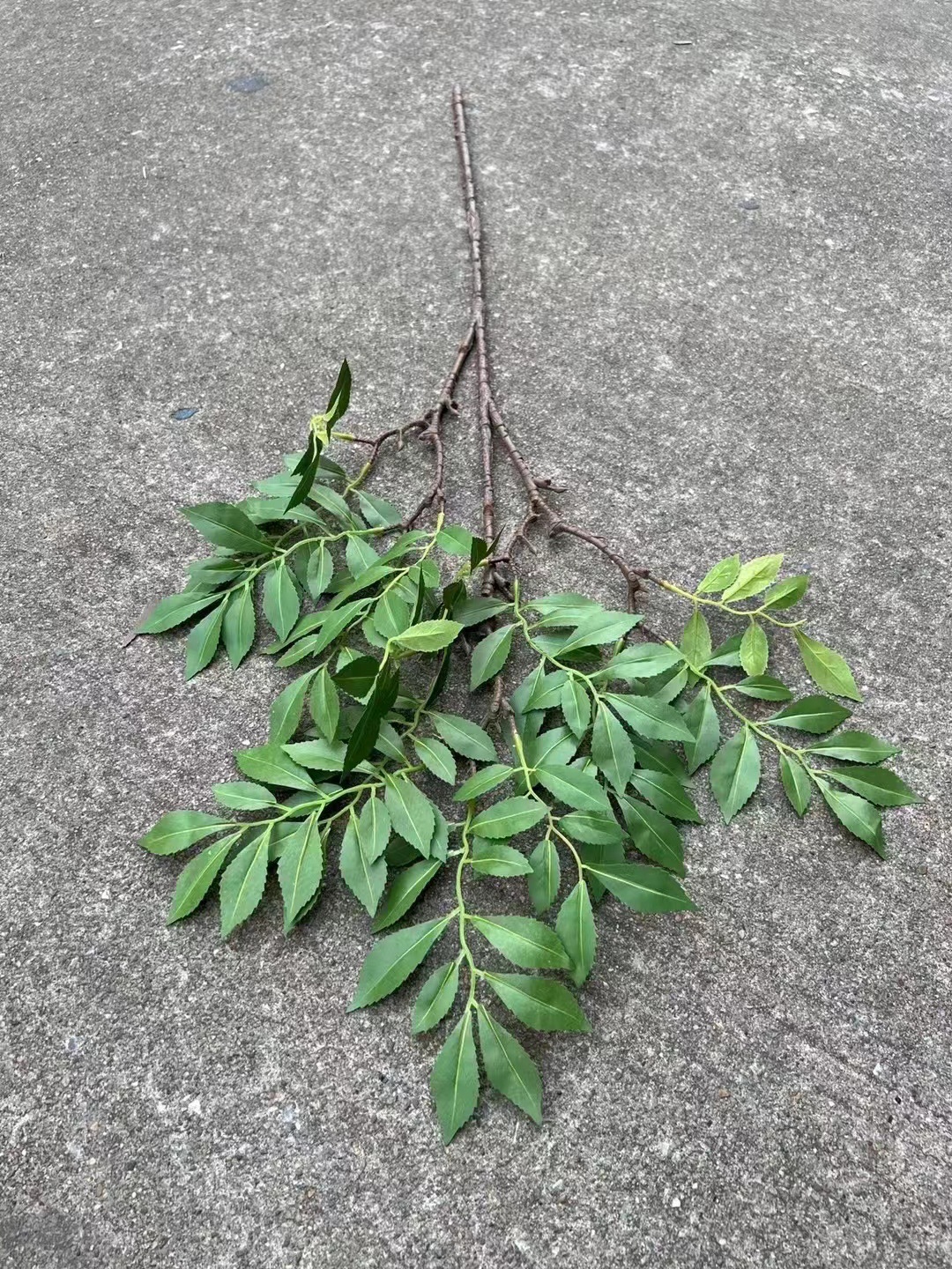 微信图片_20240705180720