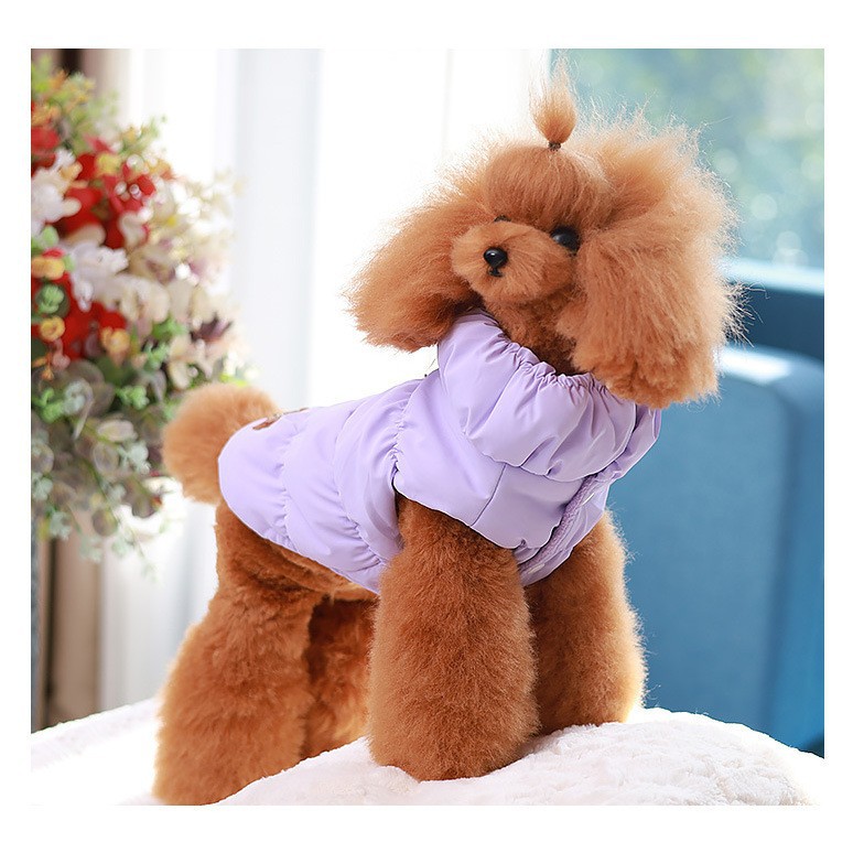 2024-11-19 12:46:32.jpg