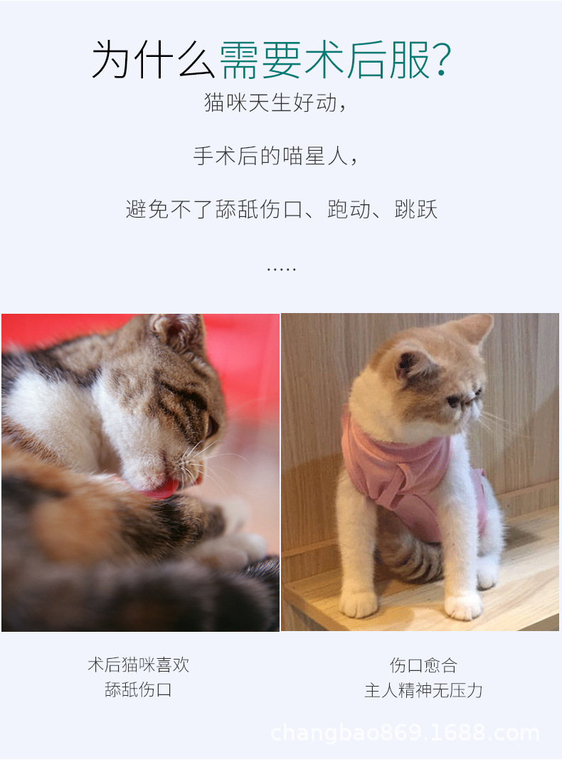 猫咪手术服_详情页_02.jpg