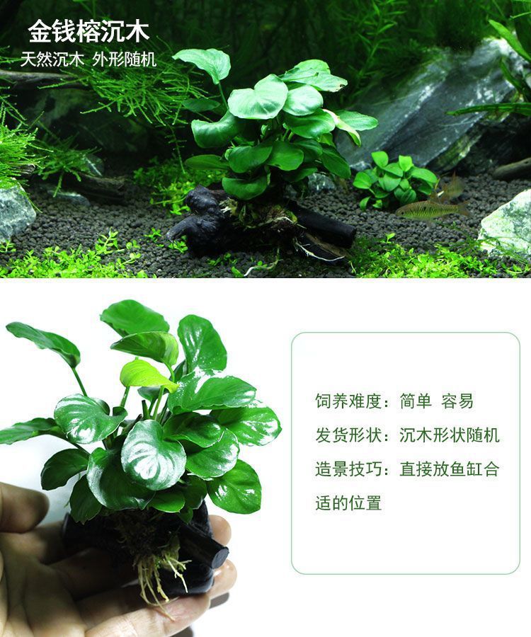 ee732da6-1bf2-4c8c-aab1-38f6f0f33280.jpe