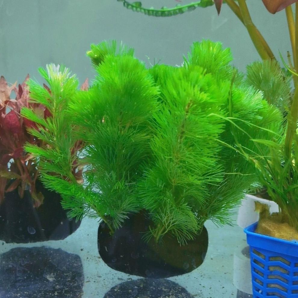 efca2a5e-f85a-4fe4-8a21-5d881defce7f.jpe