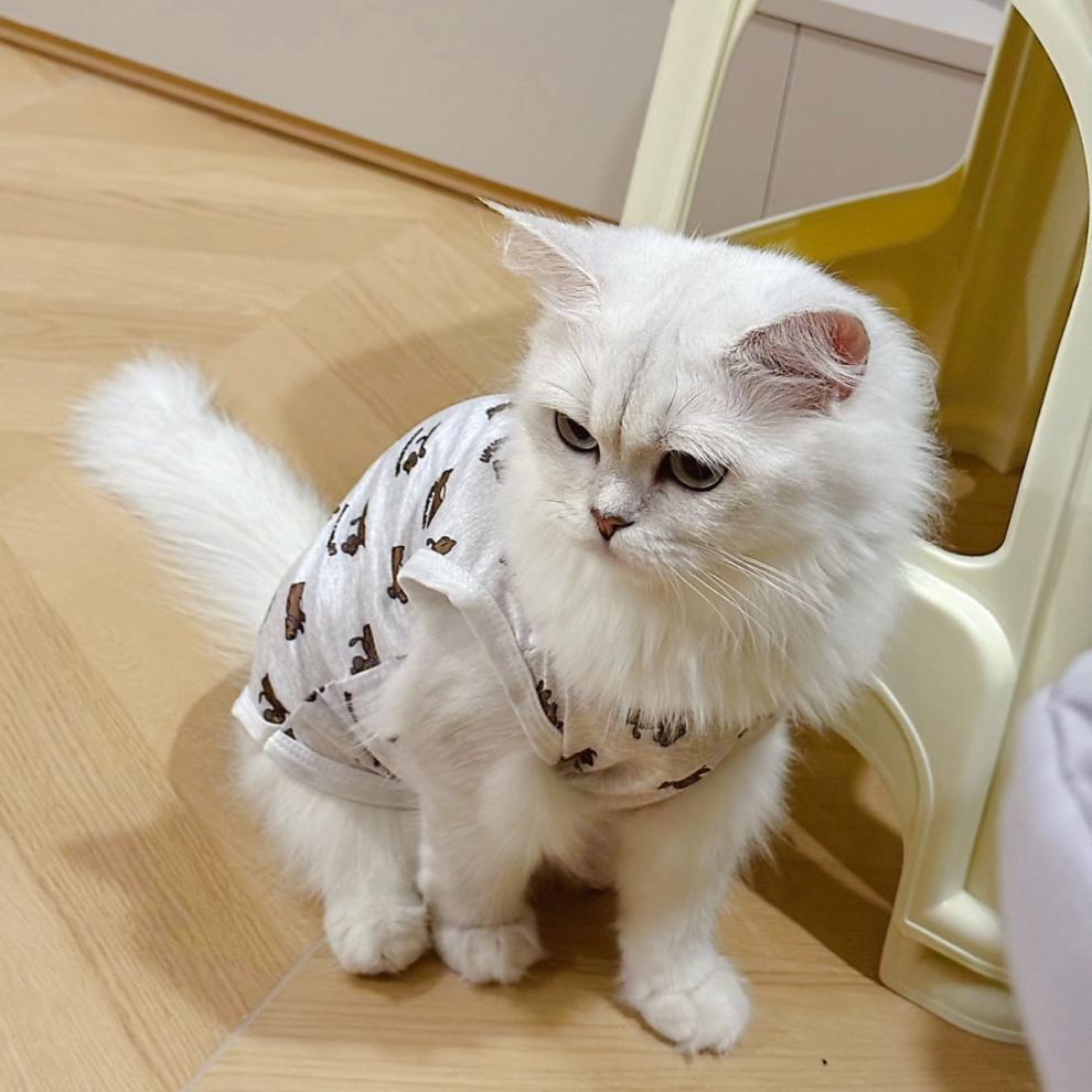 5c3015d6-2e65-4bcf-ba8c-589ce98ca5e8.jpe