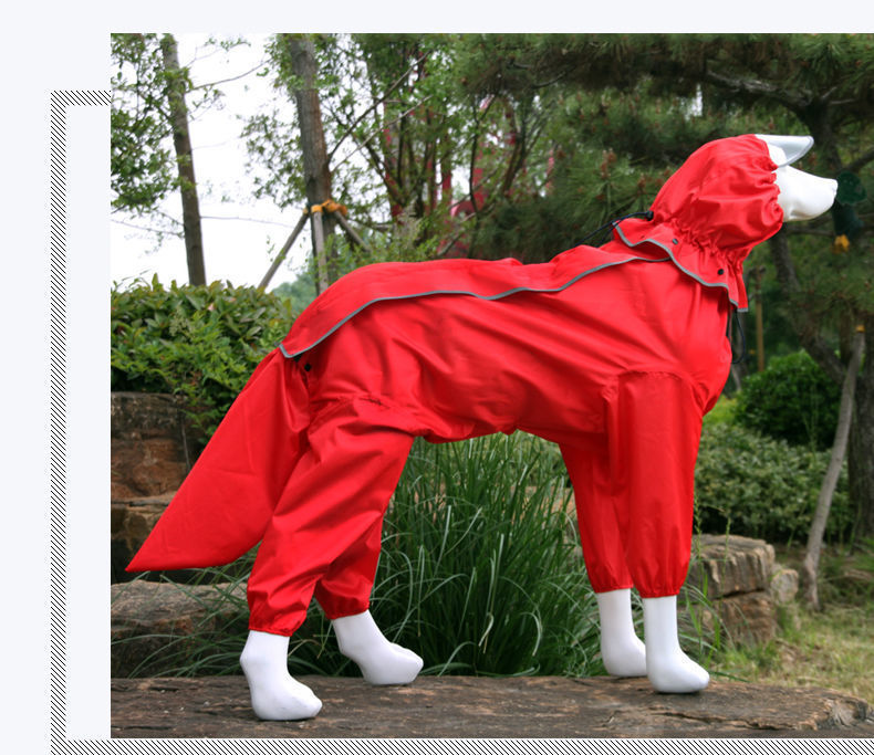 7fb2c2d7-a2fe-478b-aa24-8bd1c6103a9e.jpe