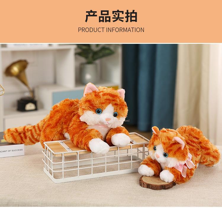 猫猫_13.jpg