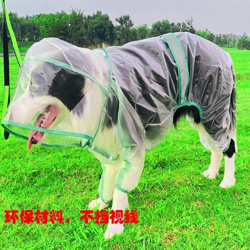 0d650557-e301-4c4a-8ebe-cbb62762475c.jpe