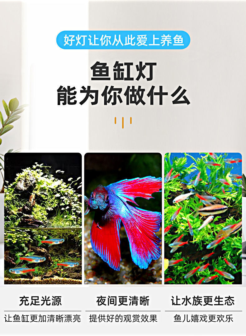 f061e89c-49ce-4c79-91f9-f0c451aa7c11.jpe